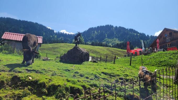 Willa Jausenstation Neuschwand Hittisau Zewnętrze zdjęcie