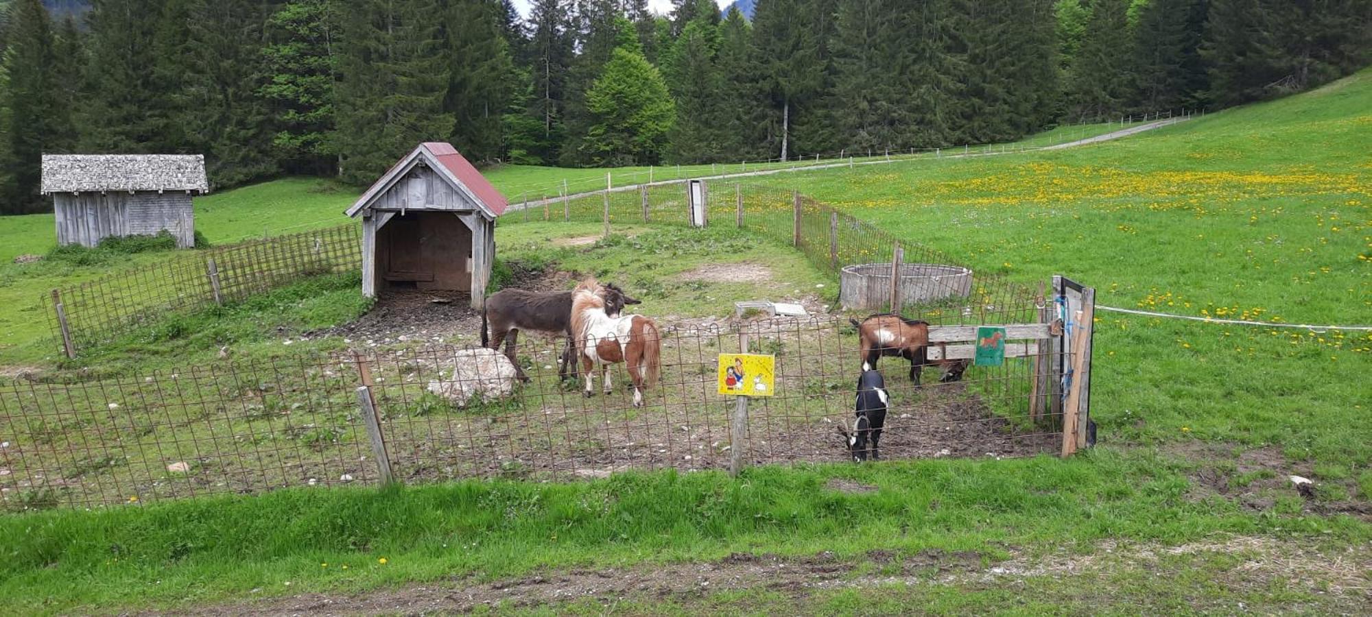 Willa Jausenstation Neuschwand Hittisau Zewnętrze zdjęcie