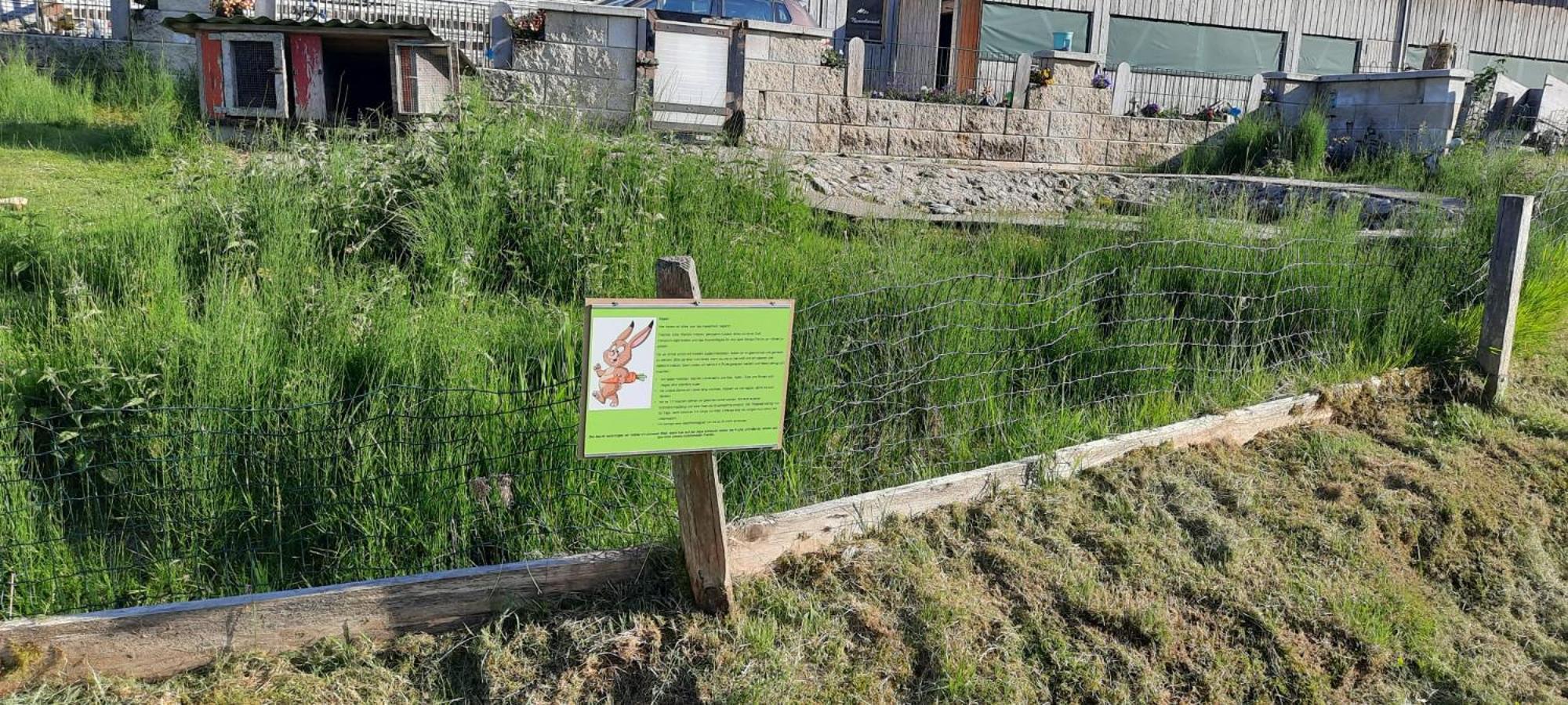 Willa Jausenstation Neuschwand Hittisau Zewnętrze zdjęcie