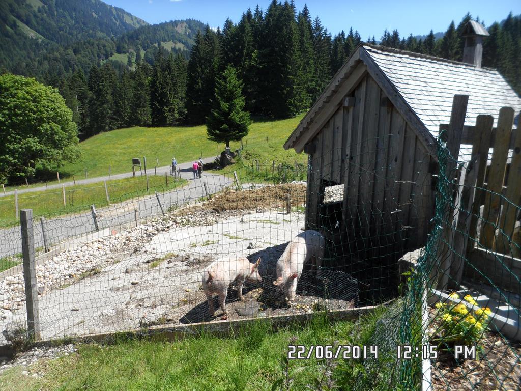 Willa Jausenstation Neuschwand Hittisau Zewnętrze zdjęcie