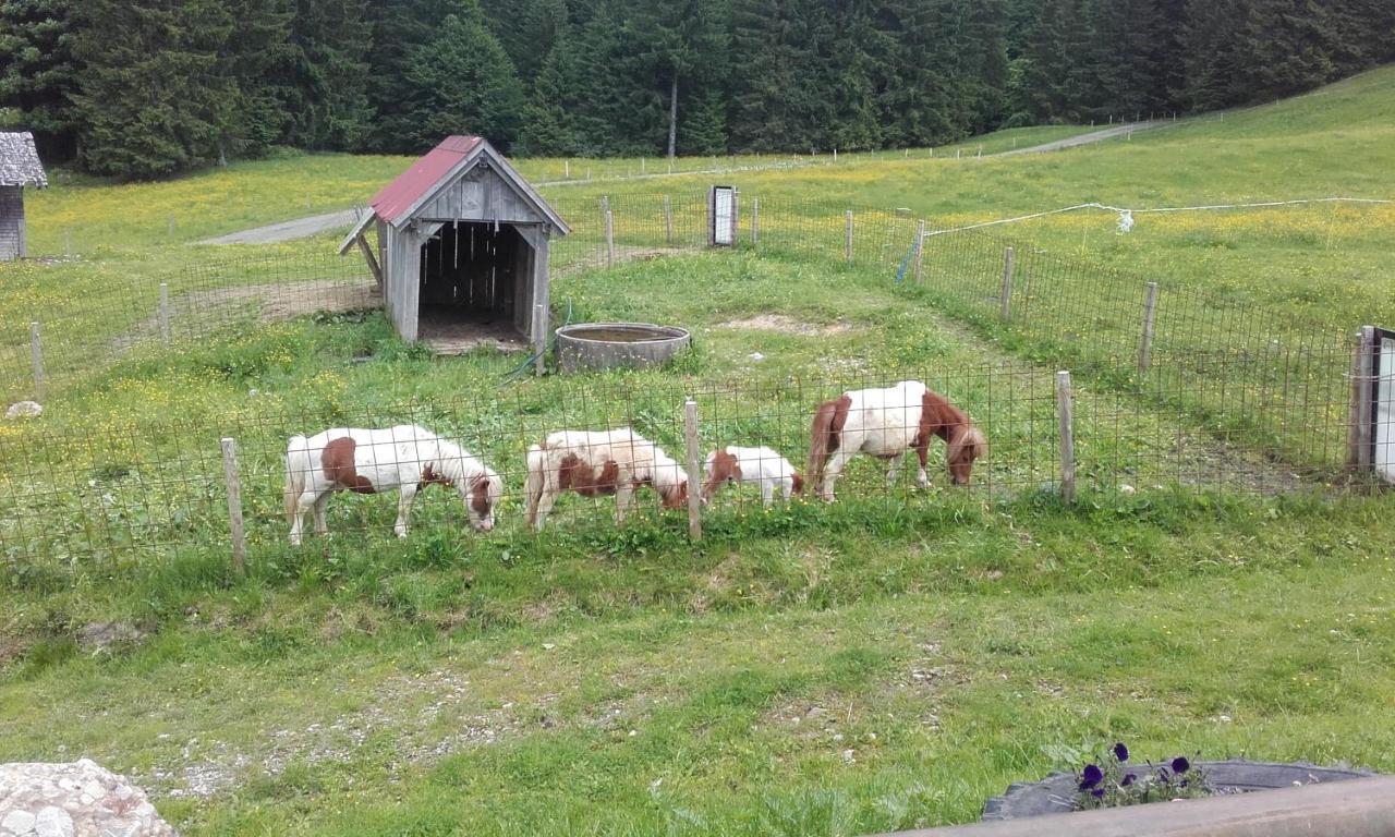 Willa Jausenstation Neuschwand Hittisau Zewnętrze zdjęcie