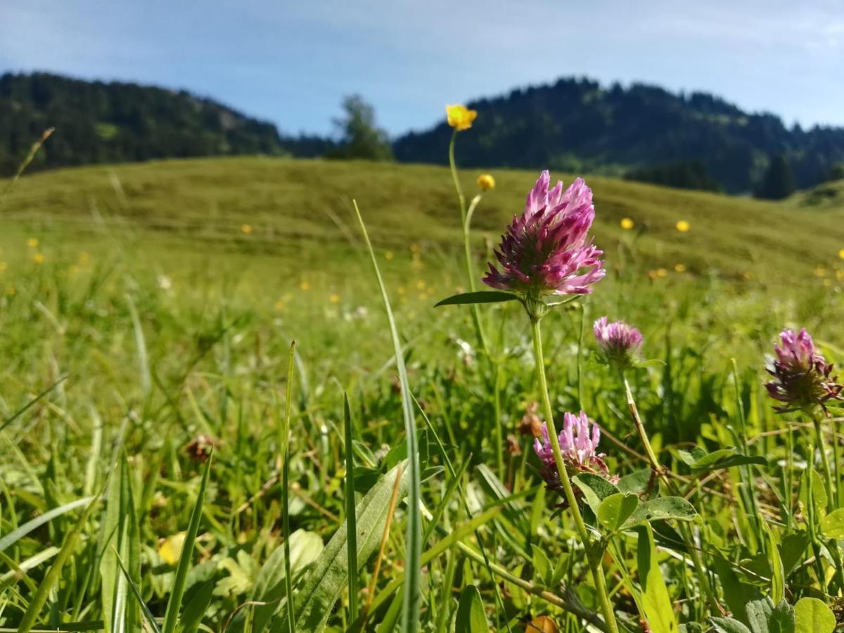 Willa Jausenstation Neuschwand Hittisau Zewnętrze zdjęcie